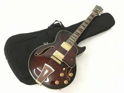Ibanez Exceptional Ibanez Artcore AG95 DBS 12 01 Abalone