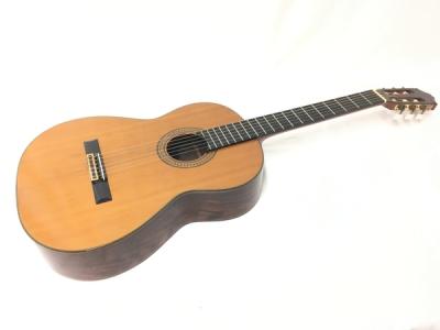 FERNANDES フェルナンデス GC-25 アコースティック ギター 楽器 アコギ