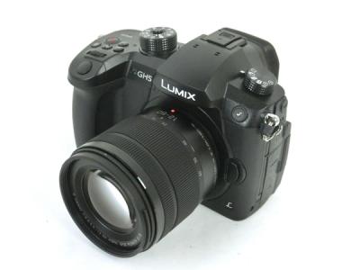 Panasonic GH5 LUMIX G DC-GH5M-K 標準ズームレンズキット G VARIO 12-60mm/F3.5-5.6 H-F デジタルカメラ