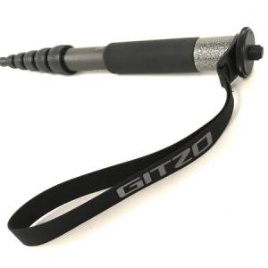 GITZO GM2560T(一脚)の新品/中古販売 | 1489246 | ReRe[リリ]