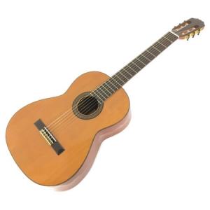 ARIA AC-25(ギター)の新品/中古販売 | 1502240 | ReRe[リリ]