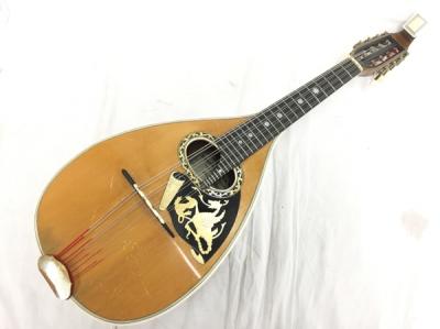 Embergher Pasquale Pecoraro ROMA 1972(弦楽器)の新品/中古販売