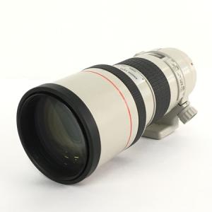 Canon キャノン LENS EF 300mm 1:4 L ULTRASONIC USM f4 レンズ カメラ 趣味 撮影 コレクション