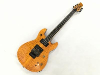 FERNANDES フェルナンデス APG-85S エレキ ギター 弦楽器