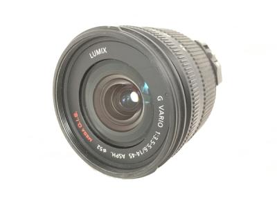 Panasonic LUMIX G VARIO 14-45 1:3.5-5.6 ASPH レンズ 写真 撮影