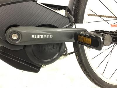 200台限定モデル ヤマハ20周年限定モデル PAS Brace L Special