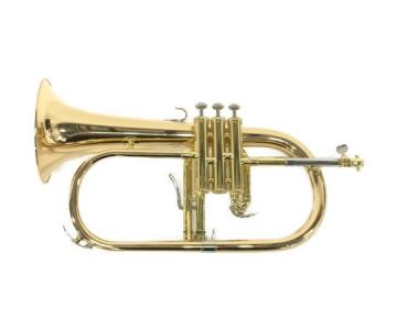 YAMAHA ヤマハ YFH-8315G フリューゲルホルン マウスピース2点 管楽器