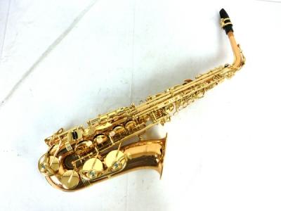 YANAGISAWA ヤナギサワ WO2 アルト サックス 管楽器 ケース マウスピース リガチャ 付 楽器