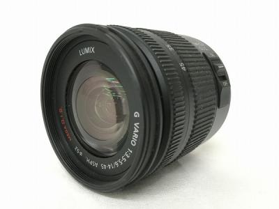 Panasonic LUMIX G VARIO 14-45 1:3.5-5.6 ASPH レンズ 写真 撮影