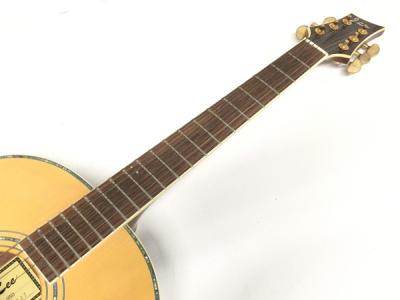 JLee FJK-950(アコースティックギター)の新品/中古販売