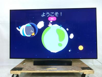 LG エルジー OLED55B6P 有機ELテレビ 55V型