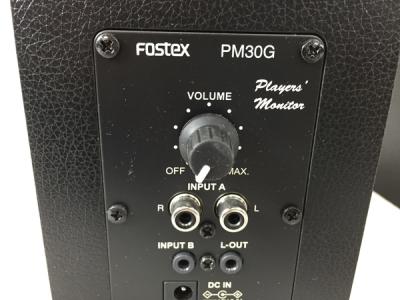 FOSTEX PM30G(モニタースピーカー)の新品/中古販売 | 1538340