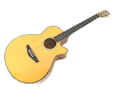 HEADWAY ヘッドウェイ TF-1000CS AN エレキ アコースティック ギター