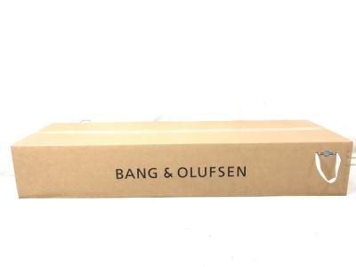 Bang&amp;Olufsen BeoLab 18 Brass tone ステレオ スピーカー
