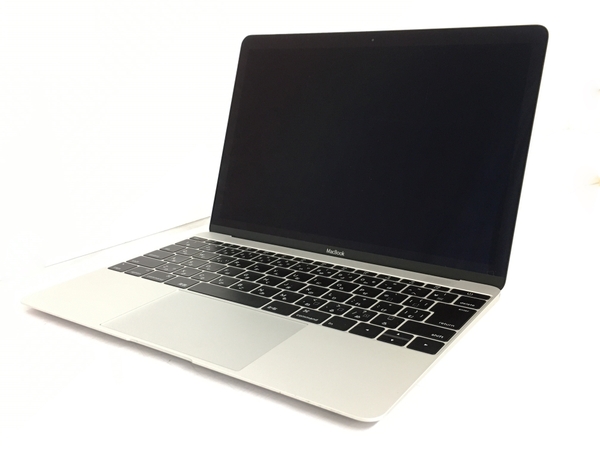 Apple MacBook Retina 12インチ Early 2016 m3-6Y30 CPU @ 0.90GHz 8