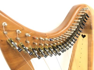訳あり】ストーニーエンドイヴ 22弦 アイリッシュハープ 【送料