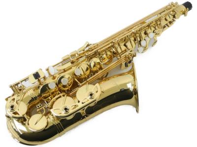 美品] ANTIGUA WINDS ALTO SAX GL アルトサックス | nate-hospital.com