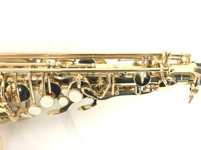 Selmer AS600L(アルトサックス)の新品/中古販売 | 1553463 | ReRe[リリ]