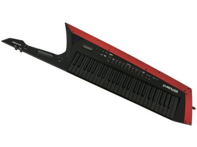 Roland ローランド AX-Edge ショルダー キーボード 49鍵 ソフトケース付 鍵盤 楽器 シンセサイザー