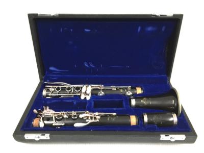 Buffet crampon R13 クラリネット 管楽器 楽器