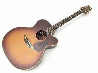 Takamine NPT-012BS エレアコ ギター ケース付き