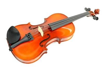 Ars Music Meister 4/4 バイオリン ARS MUSIC Model Meister