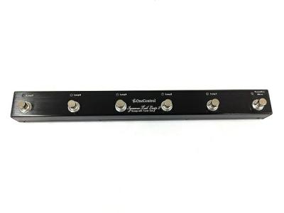 Iguana Tail Loop MKIII - 5 loop with T.O. and BJF Buffer