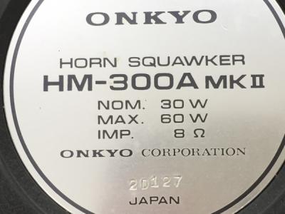 ONKYO オンキョー HM-300A MK II ドライバーホーン ペア