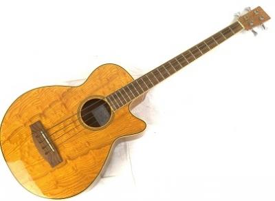 Zenn ZB22CE(アコースティックギター)の新品/中古販売 | 1568179