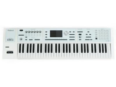 Roland FA-06 SC 限定ホワイトカラー ケース付 SDカード付 61鍵盤 ローランド