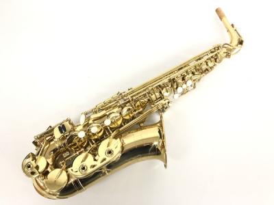 アルトサックス　Maxtone(ジャンク品)　ケース付き アルトサックス Maxtone(ジャンク品) ケース付き （アルト