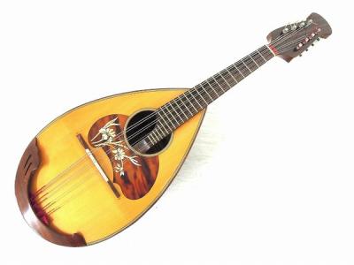 Comm Prof RAFFAELE CALACE & FIGLIO N 26(弦楽器)の新品/中古