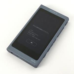 SONY ソニー ウォークマン 16GB NW-A45 グレイッシュブラック