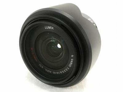 Panasonic LUMIX G VARIO 14-45 1:3.5-5.6 ASPH レンズ 写真 撮影
