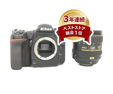 Nikon D500 16-80 VR Kit AF-S DX NIKKOR 16-80mm F2.8-4E ED VR デジタル一眼レフ カメラ セット