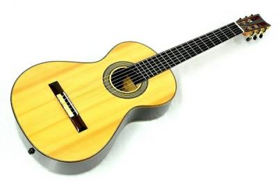 ARIA A-19C-100N アリア クラシックギター