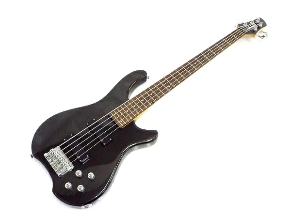 FERNANDES FRB100(ベース)-