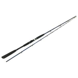 Daiwa 極鋭 ヒラメ 300 ロッド の新品 中古販売 Rere リリ