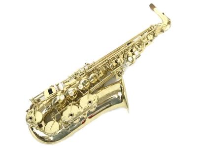 SELMER SELES AXOS A.SAX GL WE(アルトサックス)の新品/中古販売 