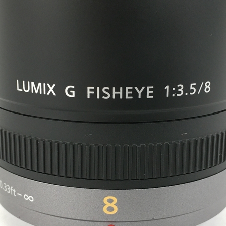 Panasonic LUMIX G FISHEYE 8mm(レンズ)-