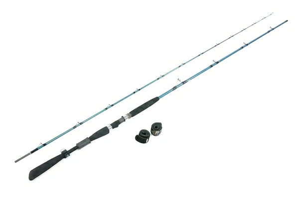 Daiwa 青龍竿 300II(ロッド)-