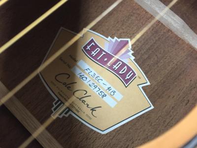 Cole Clark Guitars Fat Lady 3 Series FL3EC-HB(アコースティック