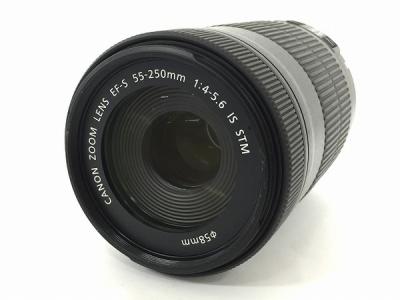 Canon EF-S 55-250mm 4-5.6 IS STM 一眼レフ カメラ レンズ
