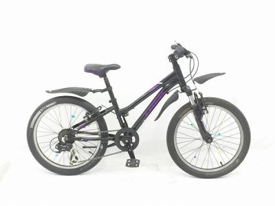 TREK 527872 Precaliber クロスバイク キッズ サイクリング 自転車 トレック