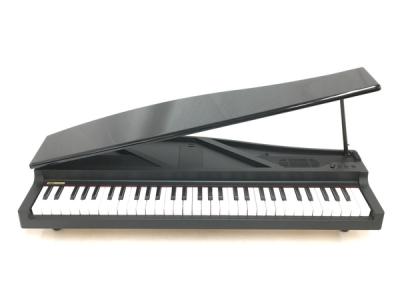 KORG コルグ MICRO PIANO (BK) 電子ピアノ 61鍵盤 ブラック