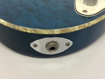 Bacchus バッカス GLOBAL SERIES ストラトタイプ 24フレット HSH