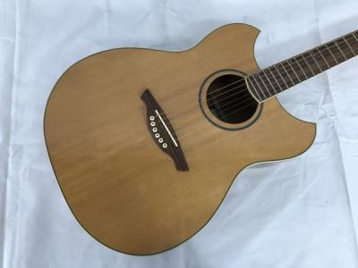 【Wechter Pathmaker 3120】L.R.Baggsピックアップ付 wechter 3120(アコースティックギター)の新品/中古販売