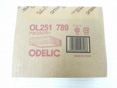 ODELIC LED 小型 シーリングライト OL 251 789 2020年製
