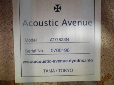 Acoustic Avenue ATG823N(アコースティックギター)の新品/中古