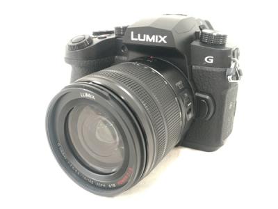 Panasonic LUMIX DC-G99 デジタル一眼 ミラーレス カメラ ボディ パナソニック